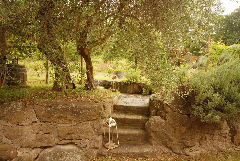 Pieve Di Caminino Historic Farm Villa Podere Caminino Buitenkant foto
