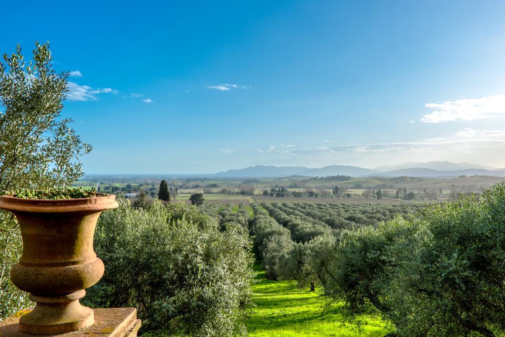 Pieve Di Caminino Historic Farm Villa Podere Caminino Buitenkant foto